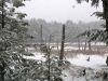 Winter snow on Wetlands by Peter Betts
