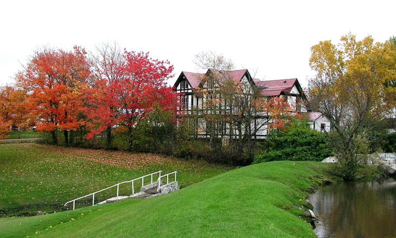 fall colors in the park.