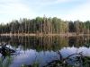 perfect calm
