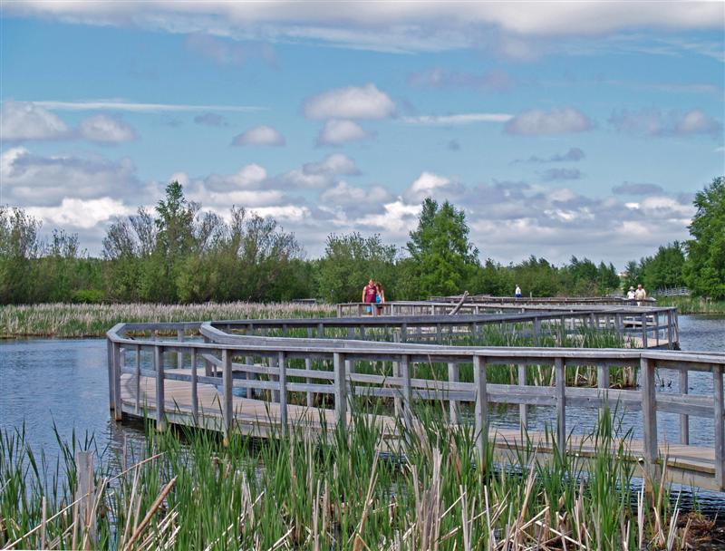 walking trail