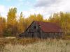 abandoned barn