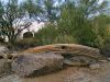South Mtn / cactus ribs by Michael S