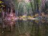 West Fork Oak Creek by Michael S