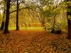 In the park by Hans Koren