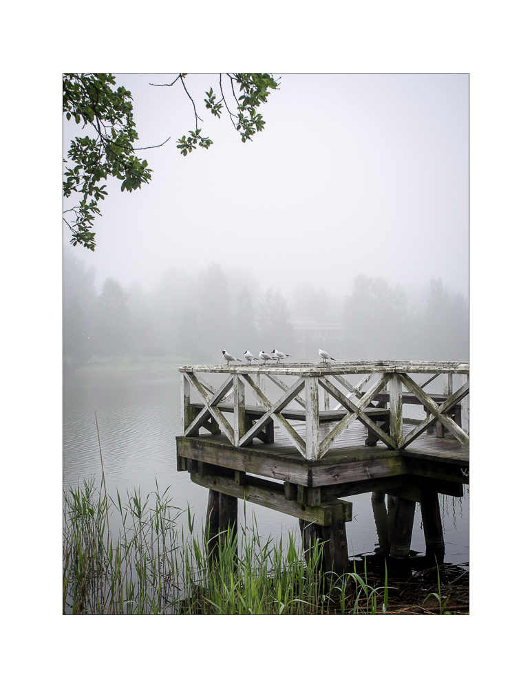 Pier in fog