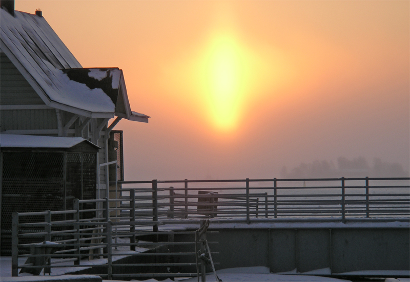 House of the rising oval sun