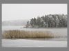 Winter Prelude 3