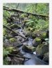 Scenes from Nuuksio