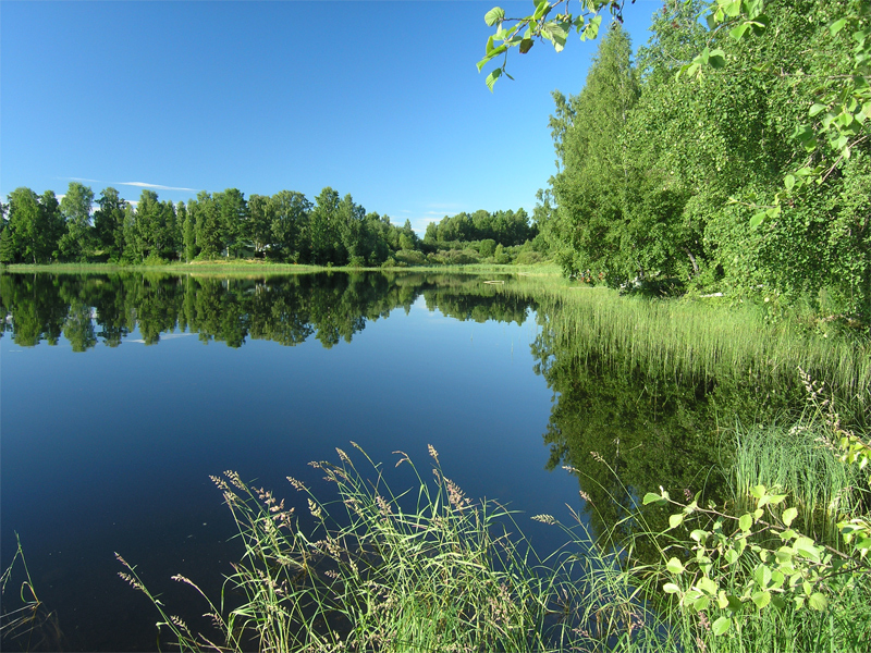 Summer in Tokonlahti