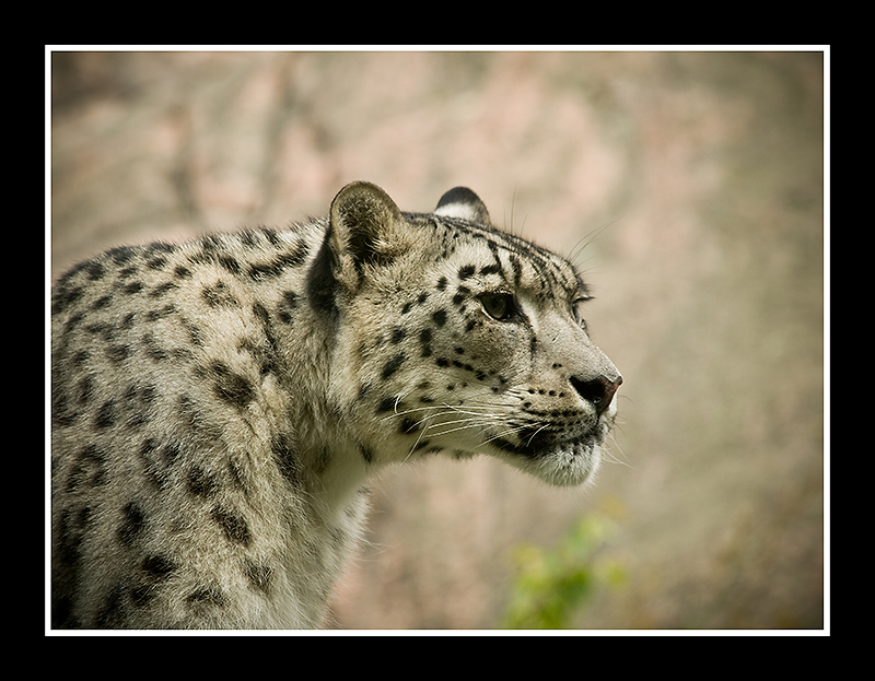 A Day at Helsinki Zoo 1