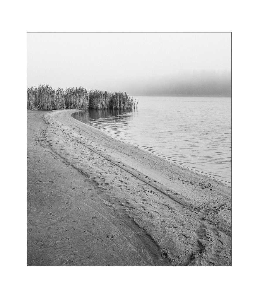 Beach in Fog