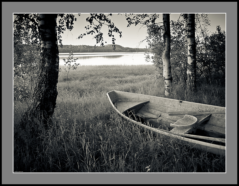 Finnish Summer 1