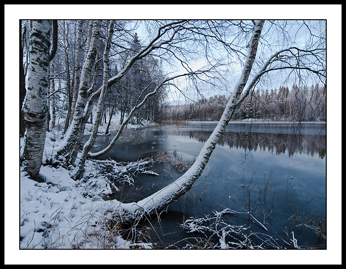 Dawn After First Snow