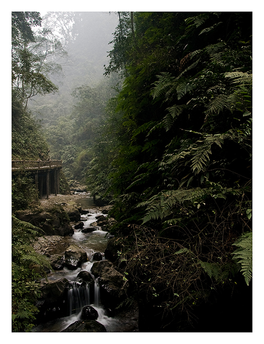Deep in the valley 2