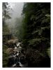 Deep in the valley 2