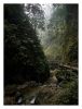 Deep in the valley 3