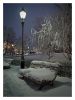 Esplanade Park in January by Pekka Nihtinen