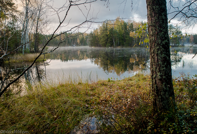 Autumn by a small lake 4