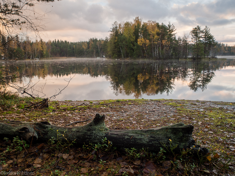 Autumn by a small lake 5