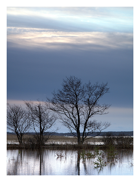 Flooded land