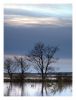 Flooded land