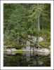 By a forest lake 2