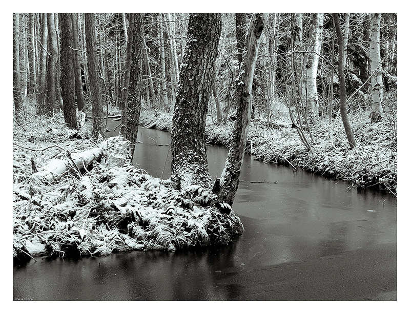 Frozen waterways