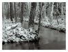 Frozen waterways