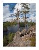 Repovesi Sceneries 1