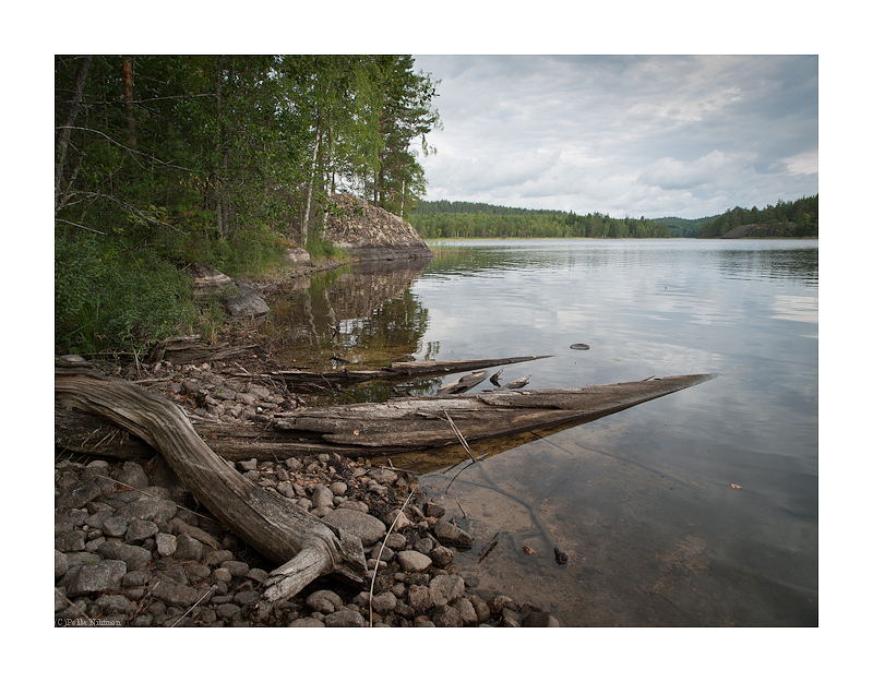 Repovesi Sceneries 3