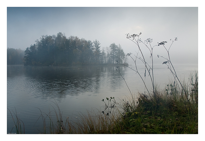 Misty Lake