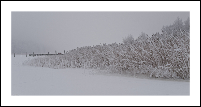 Scenes of January 3