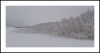 Scenes of January 3