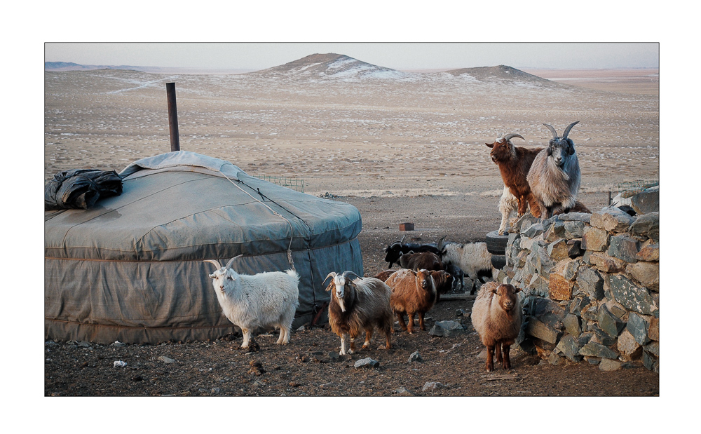 Mongolia welcomes you