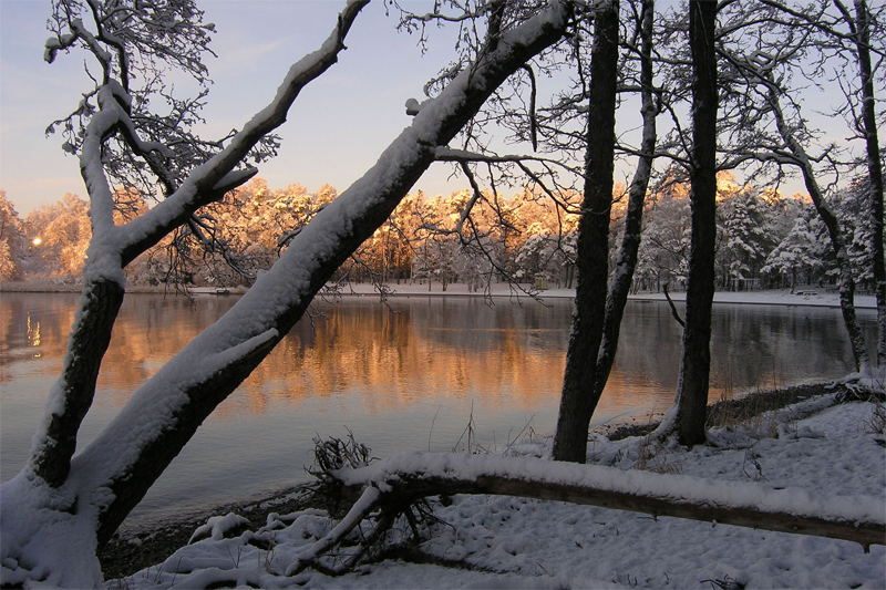 Kallahti in December