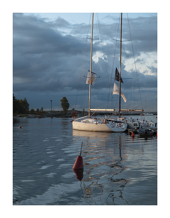Morning in marina