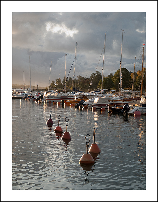 Morning in marina 2