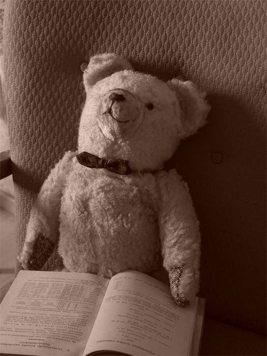 Nalle my friend
