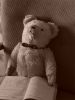 Nalle my friend