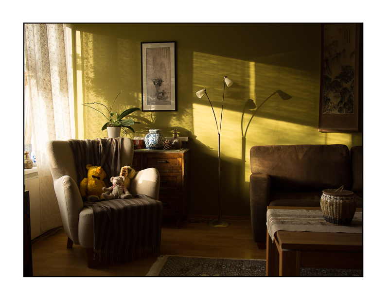 Afternoon light