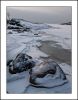 Porkkala Rocks 2
