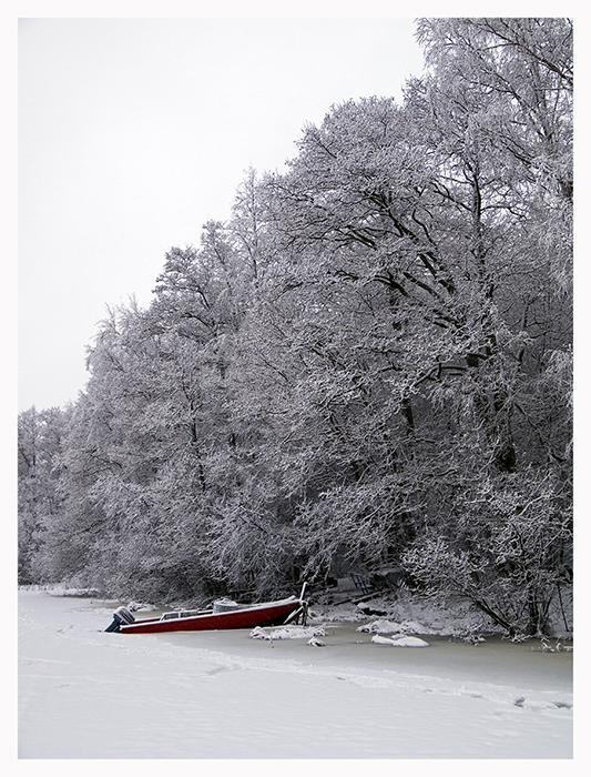 Red boat