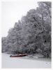 Red boat