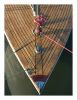 Deck & Ropes