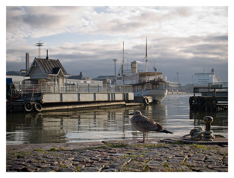 South Port 6