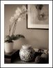 Interiors - A detail