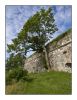 Summer in Suomenlinna 5 by Pekka Nihtinen