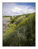 Summer in Suomenlinna 6 by Pekka Nihtinen