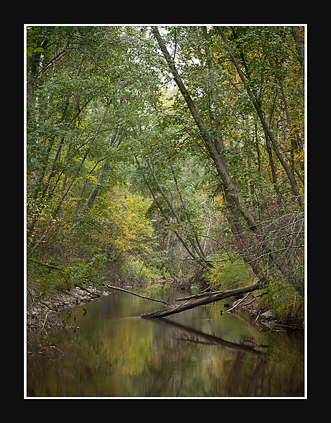Seasonal river