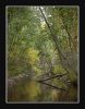 Seasonal river
